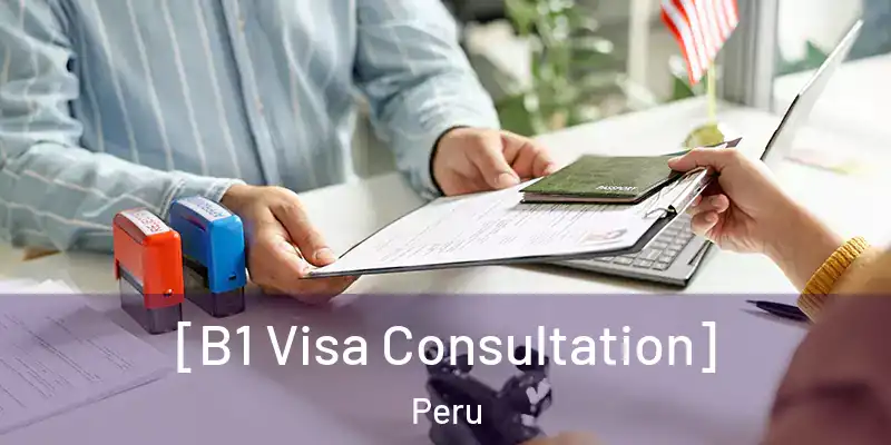  [B1 Visa Consultation] Peru